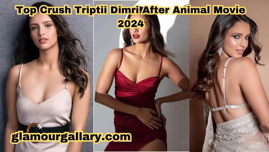 Top Crush Triptii Dimri After Animal Movie 2024